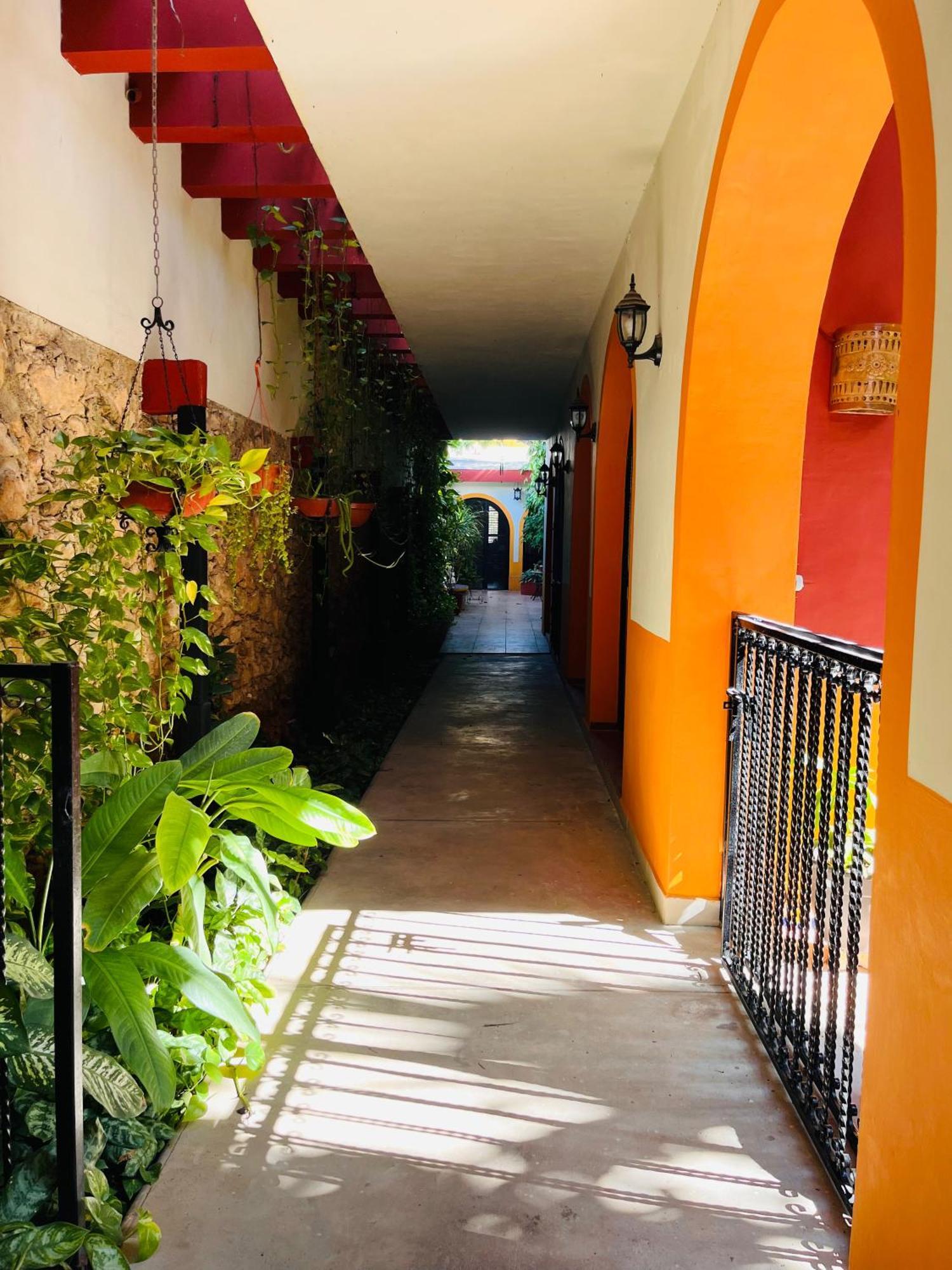 Casa Tres Colibries Bed & Breakfast Merida Bagian luar foto